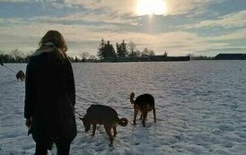 wizyta w schronisku 17