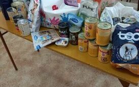 wizyta w schronisku 18