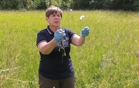 Dzień zwalczania IGO (inwazyjnych gatunk&oacute;w obcych) 08.06.2026 r. 11