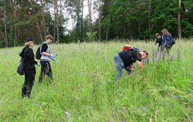 Dzień zwalczania IGO (inwazyjnych gatunk&oacute;w obcych) 08.06.2026 r. 22