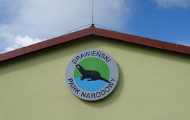 Dzień zwalczania IGO (inwazyjnych gatunk&oacute;w obcych) 08.06.2026 r. 30