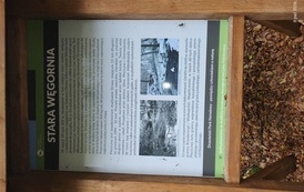 PROJEKT - Z ekologią za pan brat - -05.10. -09.10.2026 r. 22