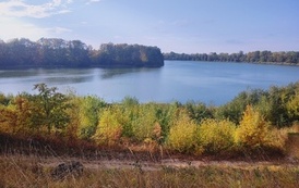 PROJEKT - Z ekologią za pan brat - -05.10. -09.10.2026 r. 42