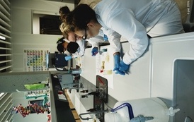 PROJEKT - Z ekologią za pan brat - -05.10. -09.10.2026 r. 68