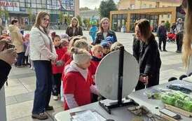 Rady na odpady &ndash; Postaw na OZE 15.10.2026 r. 4