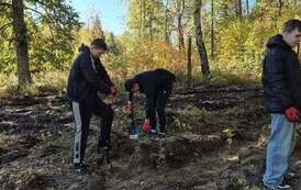 Sadzenie lasu 23.10.2026 r. 22