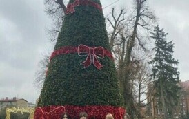 Konkurs "Barwy lasu" 15.12.2023 r. 19