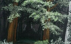 Konkurs "Barwy lasu" 15.12.2023 r. 22