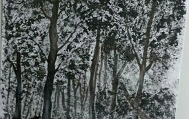 Konkurs "Barwy lasu" 15.12.2023 r. 26