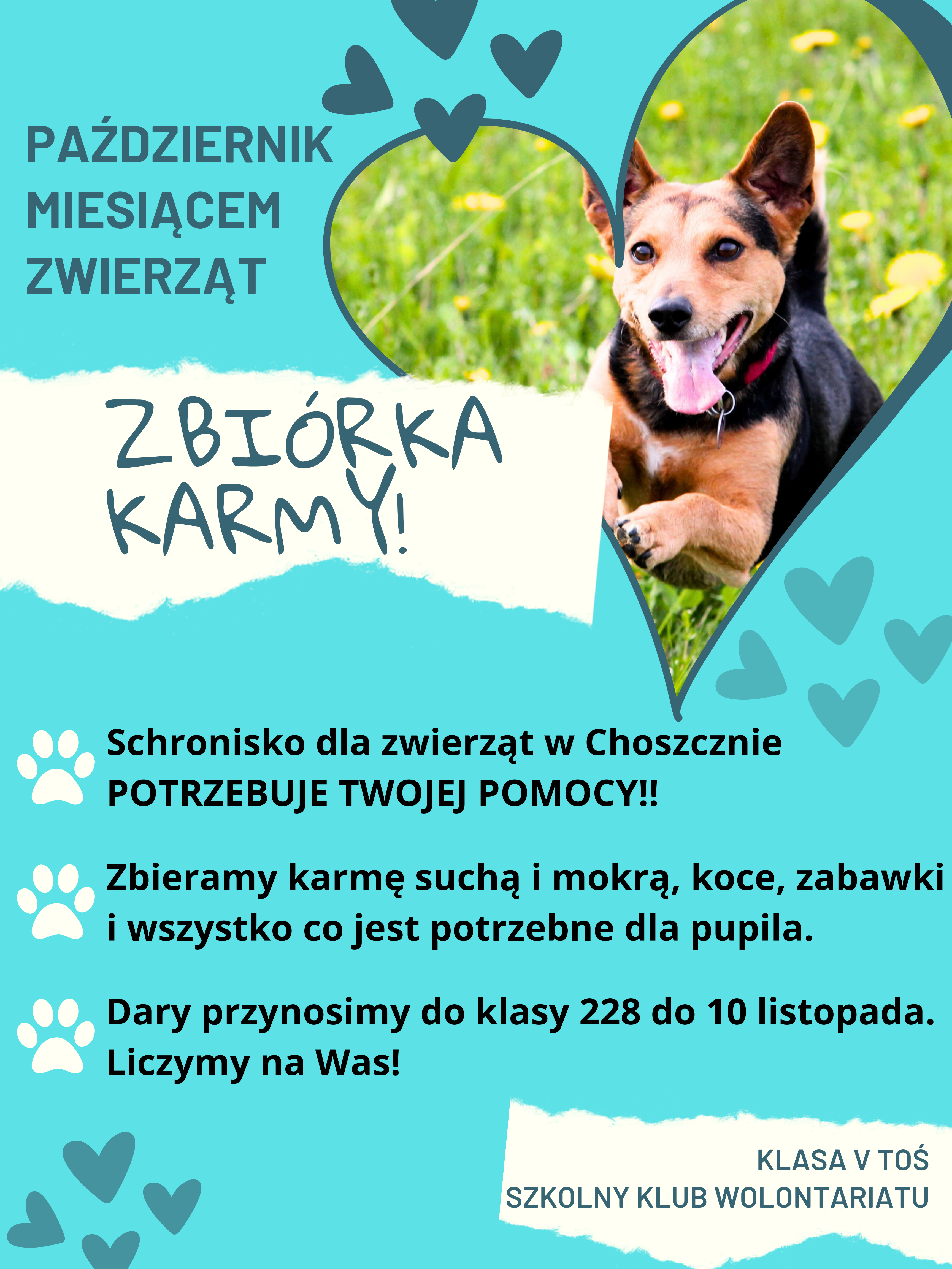 Zbi&oacute;rka karmy